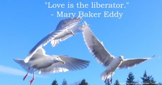 love is the liberator