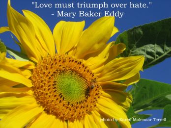 love must triumph over hate