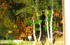 Flipped Autumn Reflection, Lake Padden, Bellingham, WA