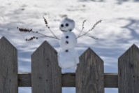 little snowman at the blueberry farm (2) this one