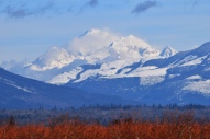 Mount Baker and Blueberry Fields