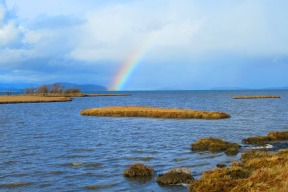 Rainbow Over Padilla Bay
