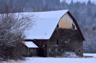 old barn in snow (2) this one